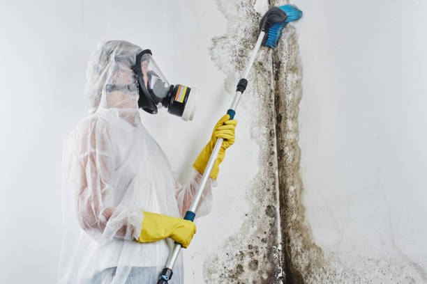 Local water damage restoration in Prospect Park, NJ